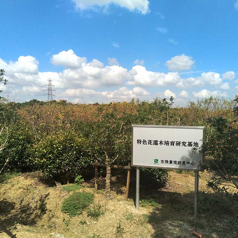 东珠生态：交易各方正在协商终止公司购买凯睿星通控制权事宜