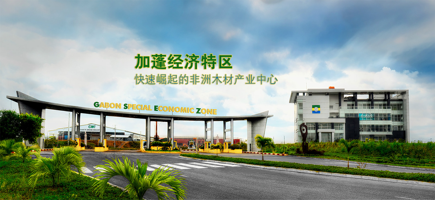 奥兰荣膺“2025年非洲最佳新兴旅游城市”称号