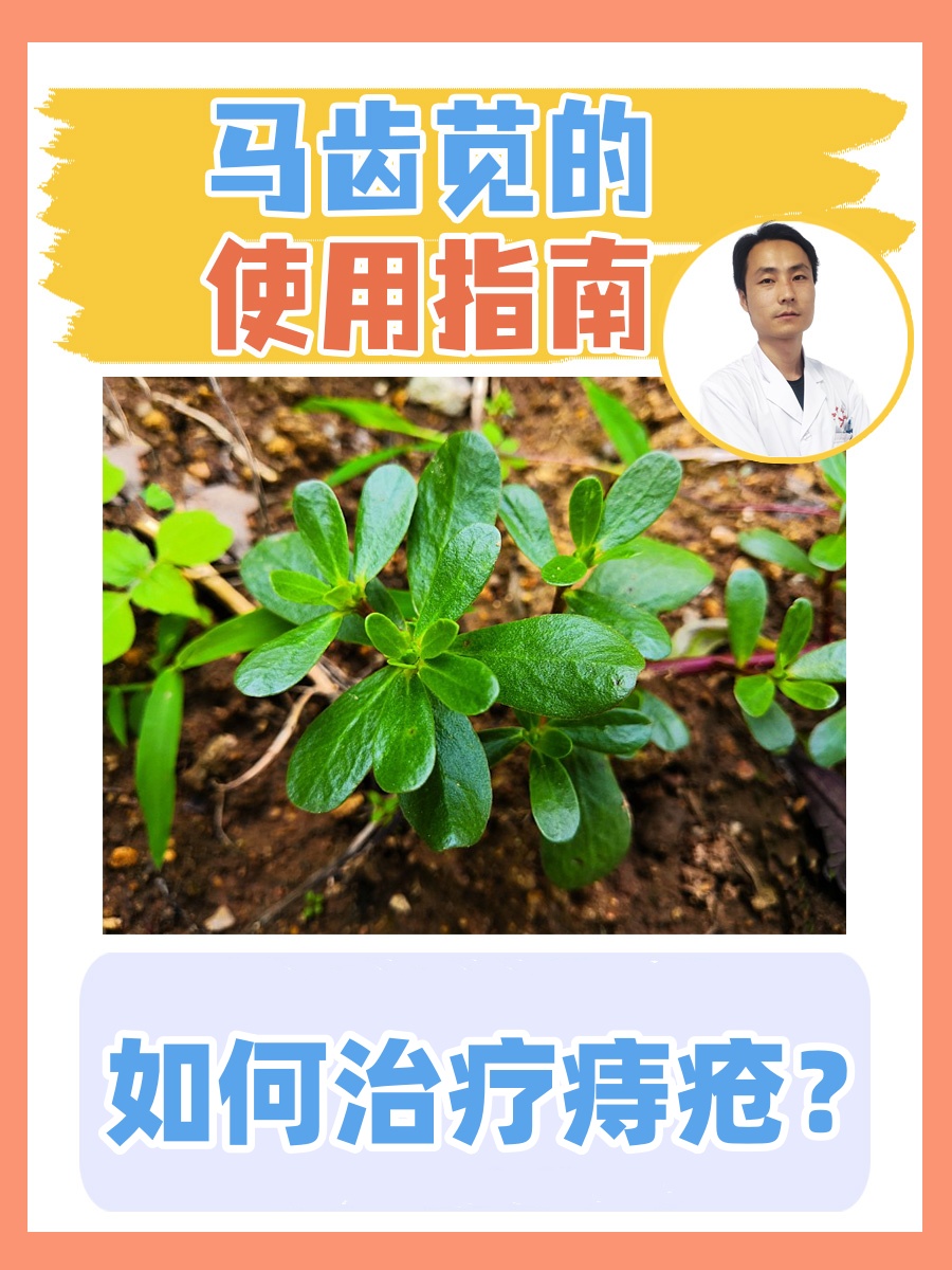 马年话马丨马尾松、马铃薯、马齿苋……盘点植物世界里的“马氏家族”