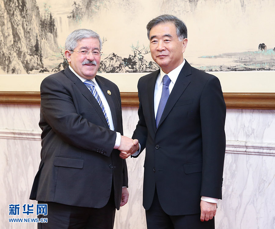 阿尔及利亚与欧盟深化能源伙伴关系，巩固天然气与氢能合作