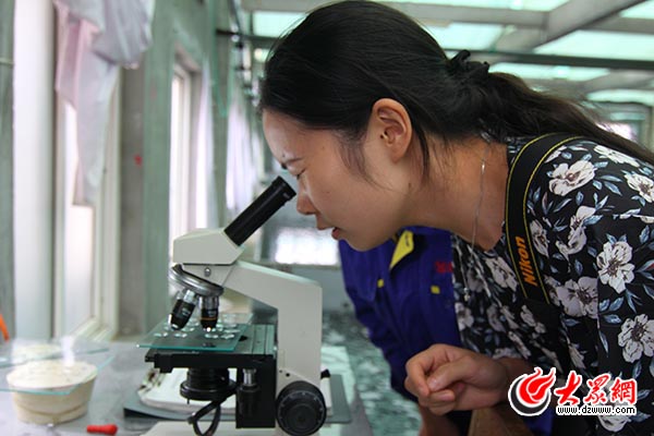 东方海洋获得发明专利授权：“一种海带性别特异性分子标记及其应用”