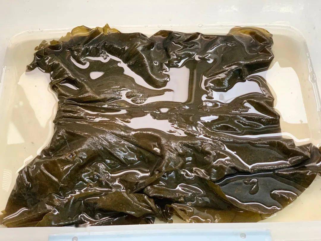 东方海洋获得发明专利授权：“一种海带性别特异性分子标记及其应用”