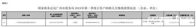 韩后创始人王国安回应旗下企业欠税：主要是纳税申报有误导致的滞纳金