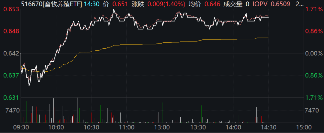 揭秘A股“躁动”！中长线资金持续进场！