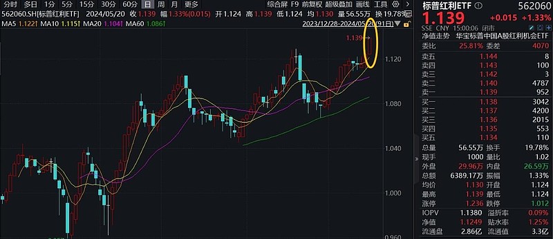 水电“双雄”，创历史新高！为何涨个不停？