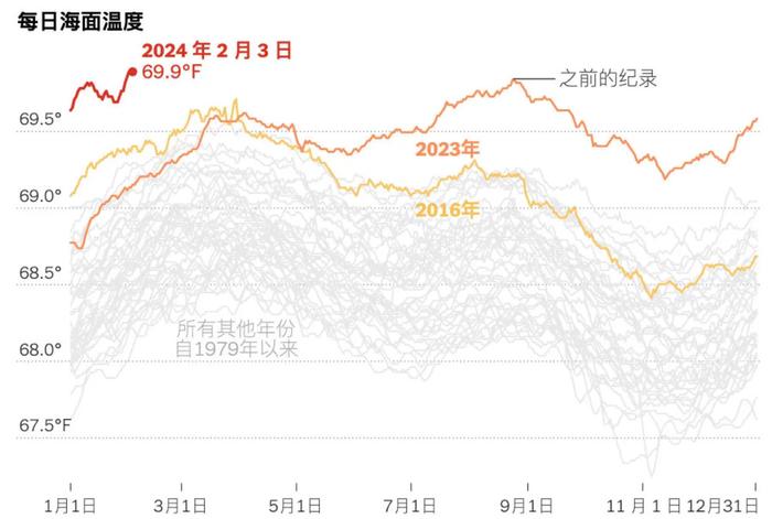 2024年6月30日硼砂价格行情最新价格查询