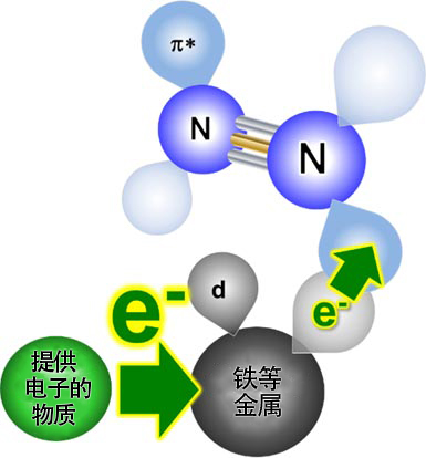 新型催化剂可助高效合成醚类物质