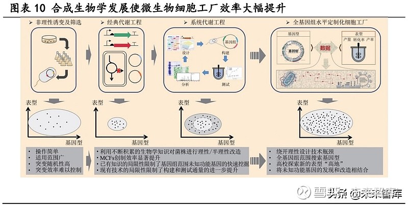 华安证券给予圣诺生物增持评级