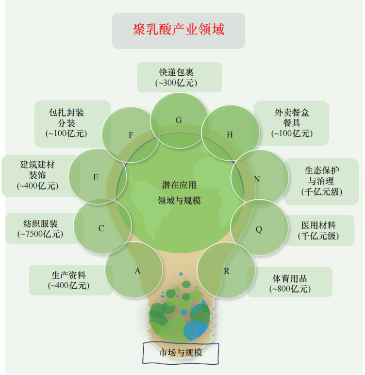 华安证券给予圣诺生物增持评级