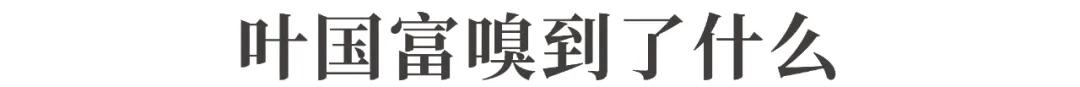 突然卖不动了？知名品牌股价闪崩，上半年中国市场销量下滑72%！欧美豪华品牌普遍遇冷，国产品牌受青睐