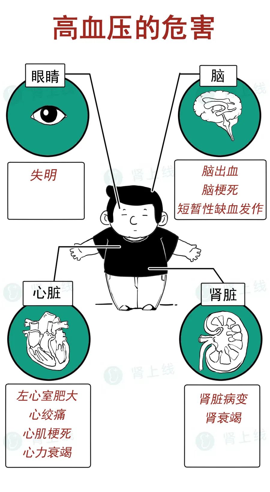 高血压患者需要经常更换降压药吗？| 时令节气与健康