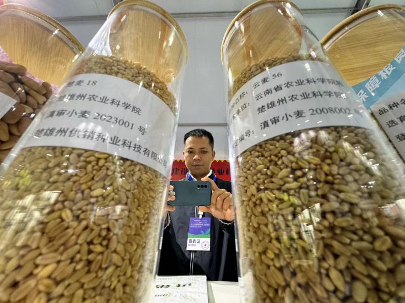 亚洲种子大会：“新奇特优”“尖端技术”催热种业国际合作