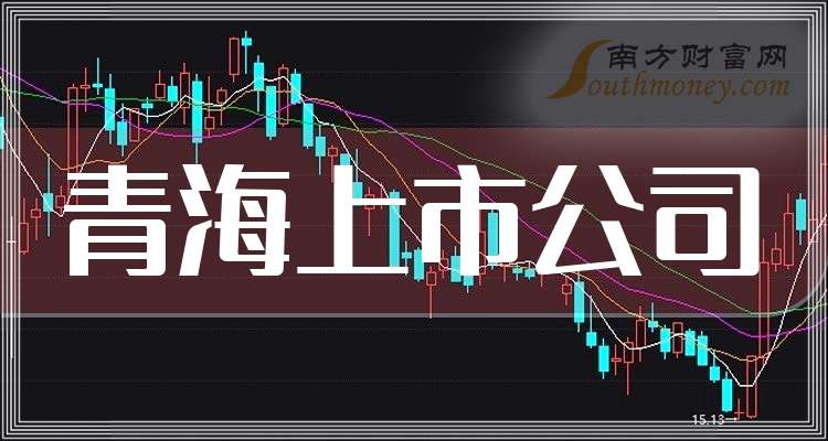 藏格矿业12月16日大宗交易成交2712.00万元