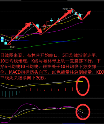 今日164只个股突破五日均线