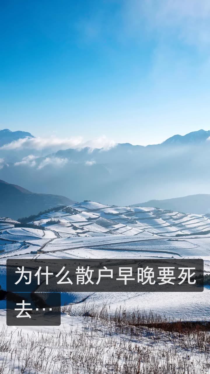 快手概念下跌4.30%，主力资金净流出41股