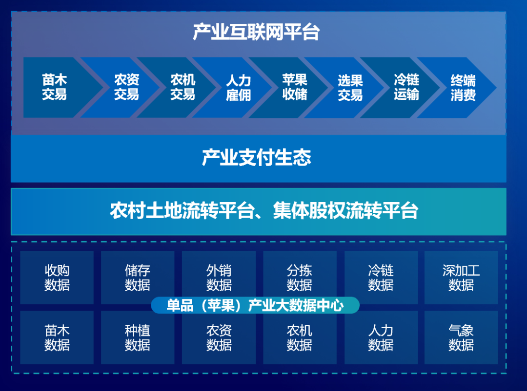 数字化拓宽乡村特色产业空间