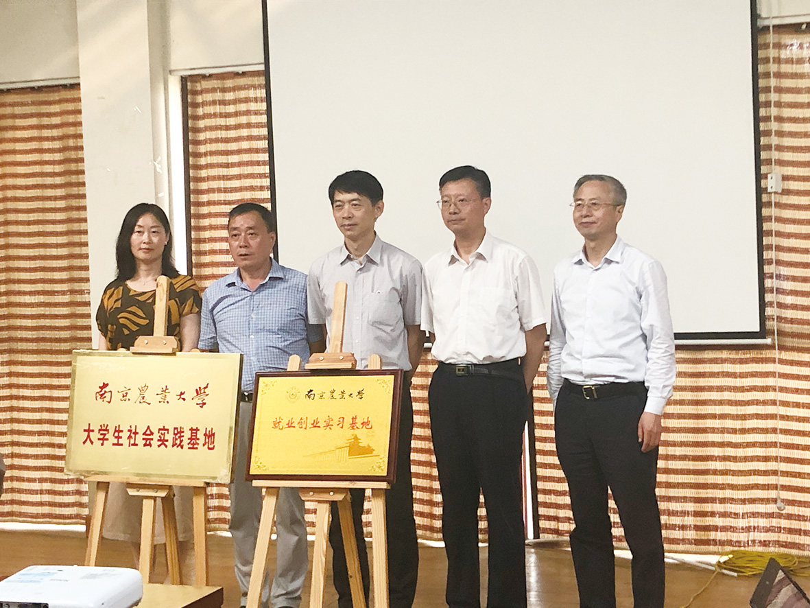 波黑联邦携手美国Techstars公司共建区域创业中心