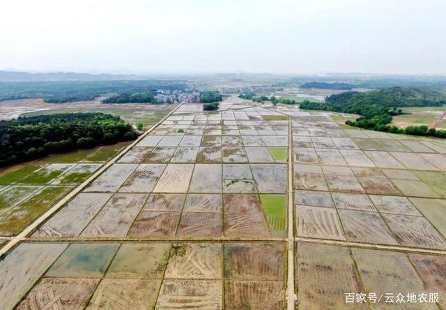 广东：鼓励因地制宜采用发放购房补贴、房票等形式支持进城农民购房