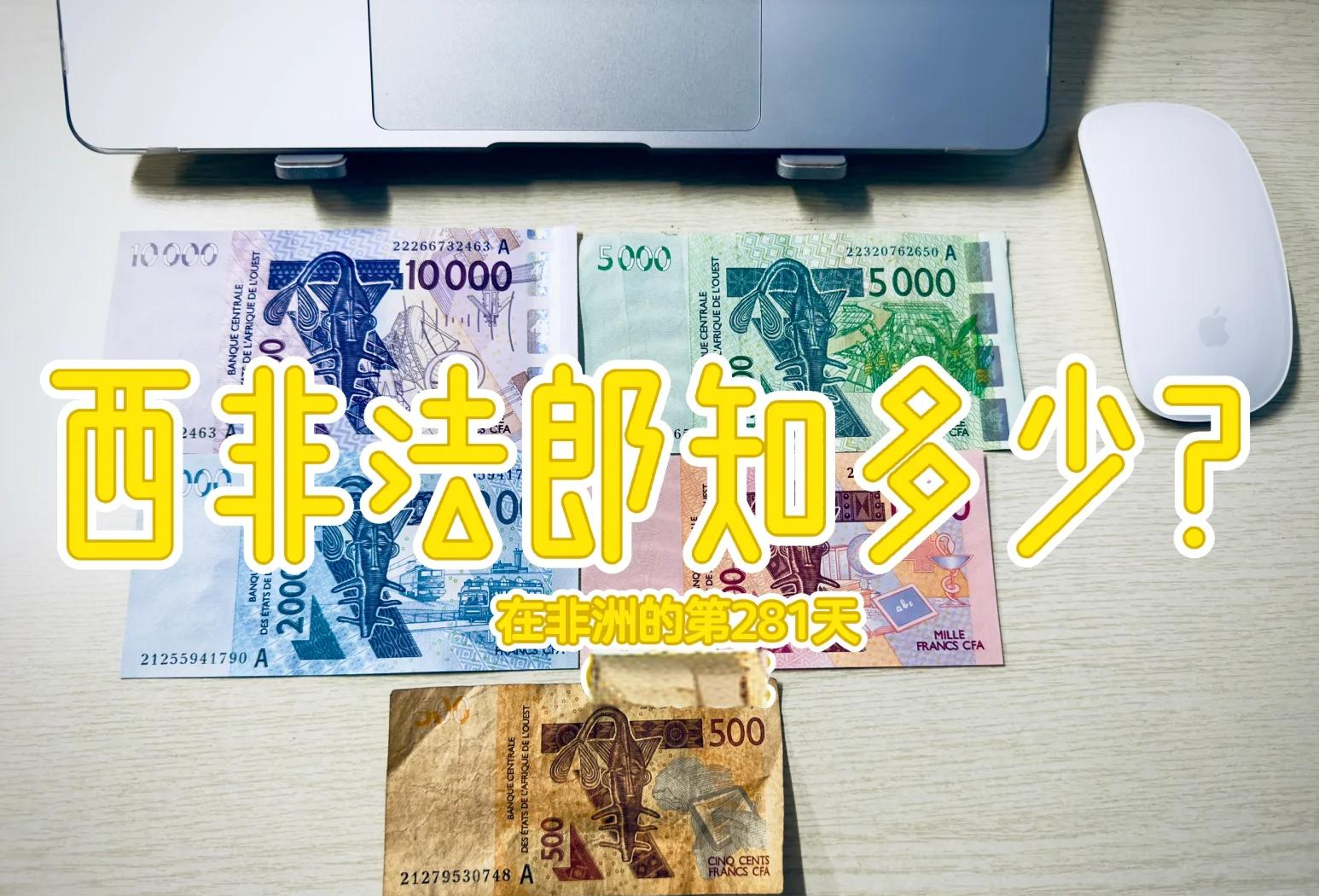国际货币基金组织预计西非经货联盟的经济增长率为 6.3%，而中非经货共同体仅为2.4%