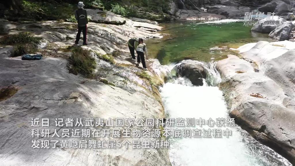 第一批国家公园建设高水平科研监测体系