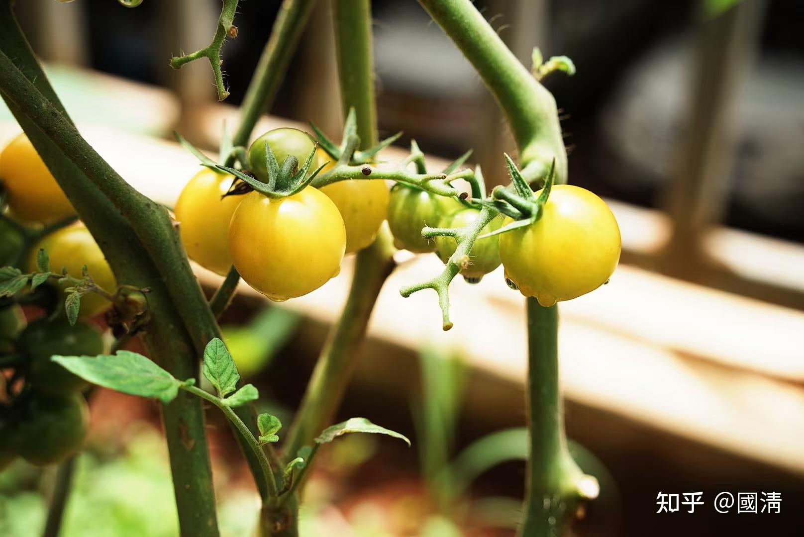 财通资管李响：拥抱AI浪潮，以价值的眼光寻找优质龙头公司