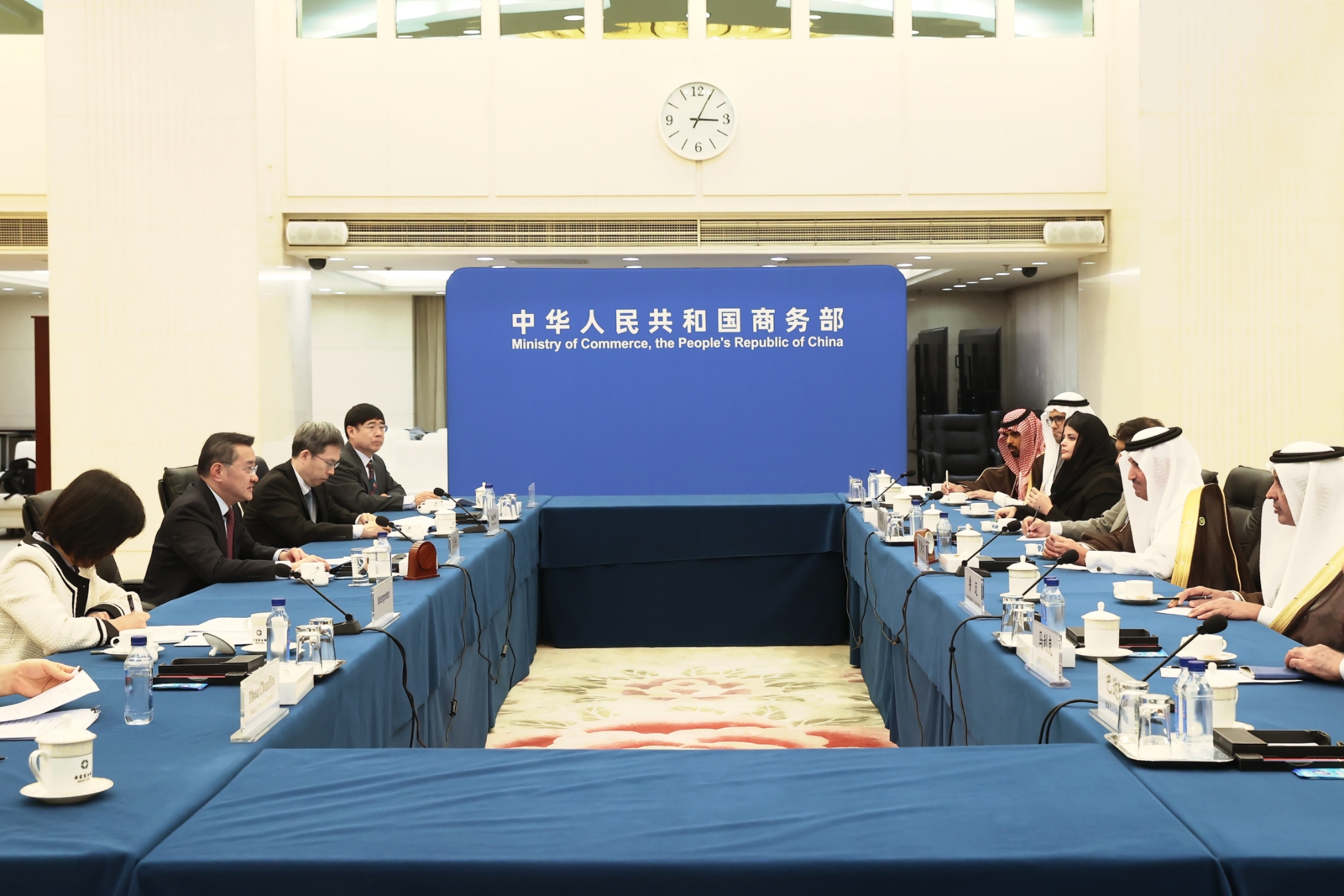 沙特经济和计划副大臣率团访问科摩罗