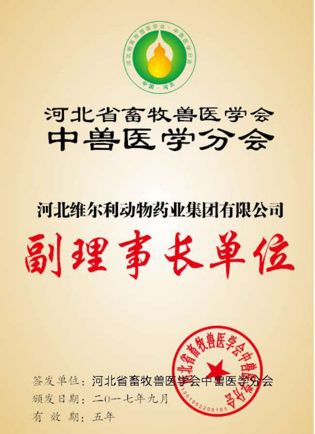 中国钢铁工业协会副会长骆铁军与国际锌协会执行理事长举行会谈