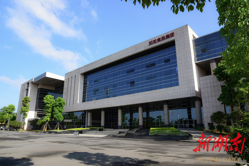 天龙集团上半年净利增长120.56% 油墨化工收入利润创新高 加速海外布局