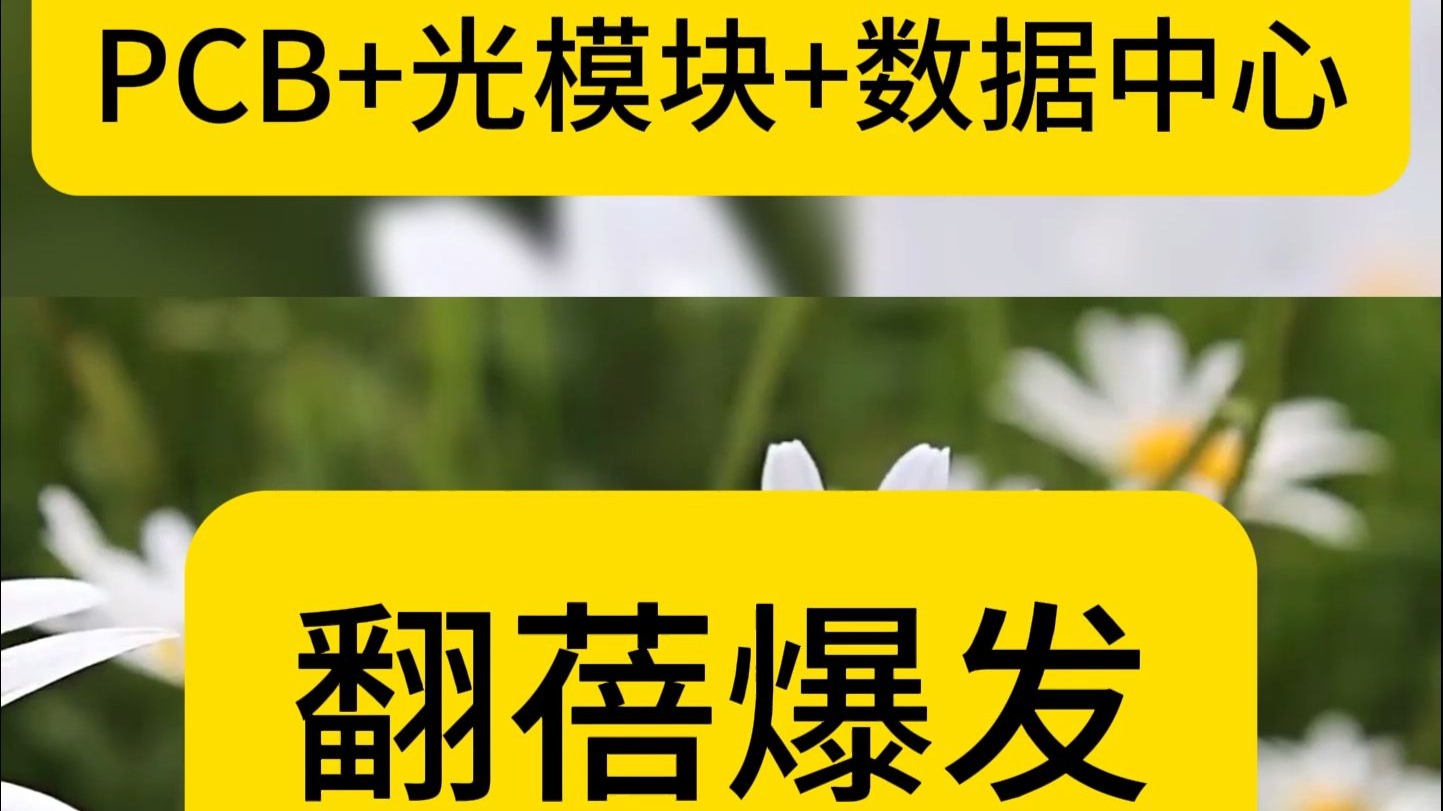 中上协：上半年光模块上市公司净利润翻倍、PCB上市公司净利润增长近50%