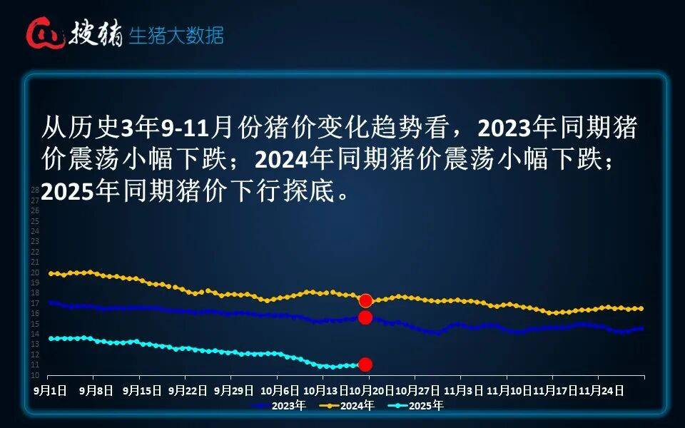 全行业面临阶段性亏损 猪价反弹能持续吗？
