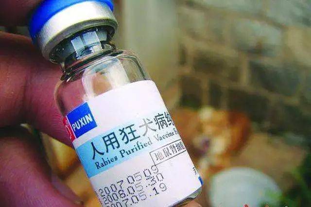 成大生物子公司人用二倍体狂犬疫苗获药品注册证书,进一步完善公司疫苗产品布局