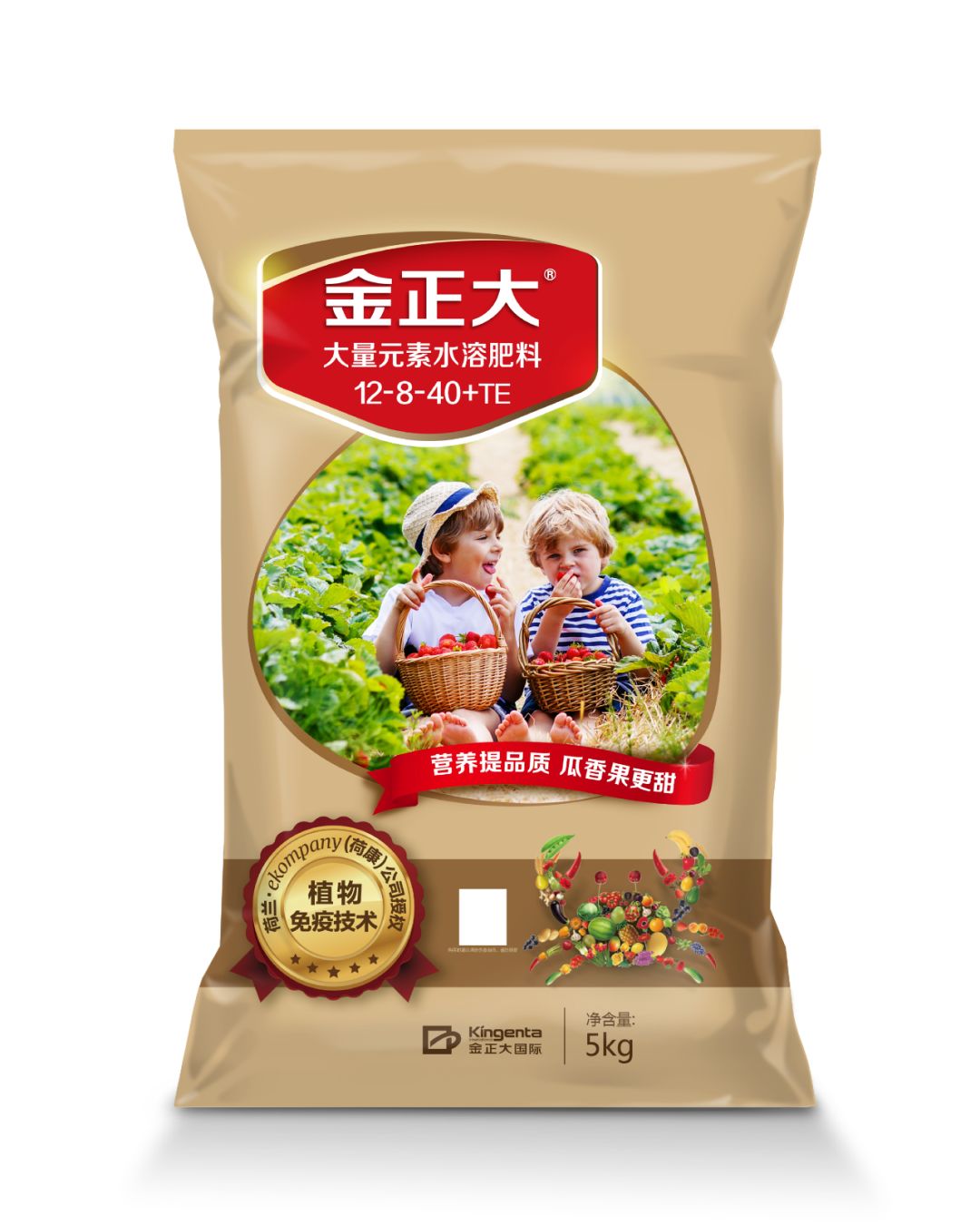 金正大录得5天3板