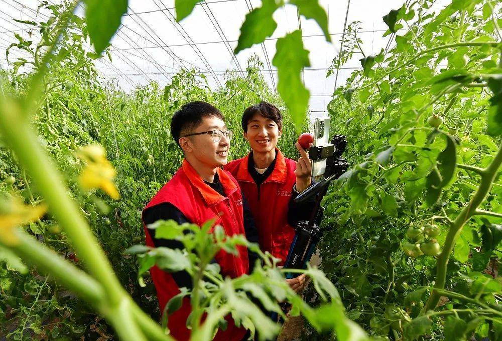国寿安保基金管理有限公司学雷锋团队 获评2024年金融系统“学雷锋活动示范点”