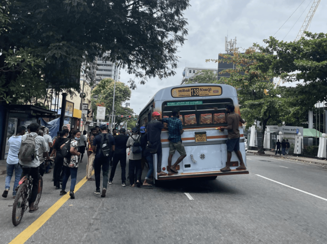 斯里兰卡肉桂出口创历史新高，2025年出口额接近80亿卢比