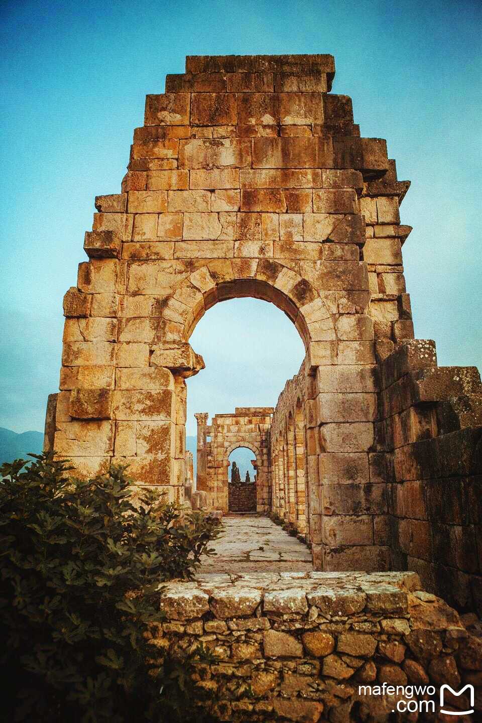 埃及投资银行计划在摩洛哥设立运营机构