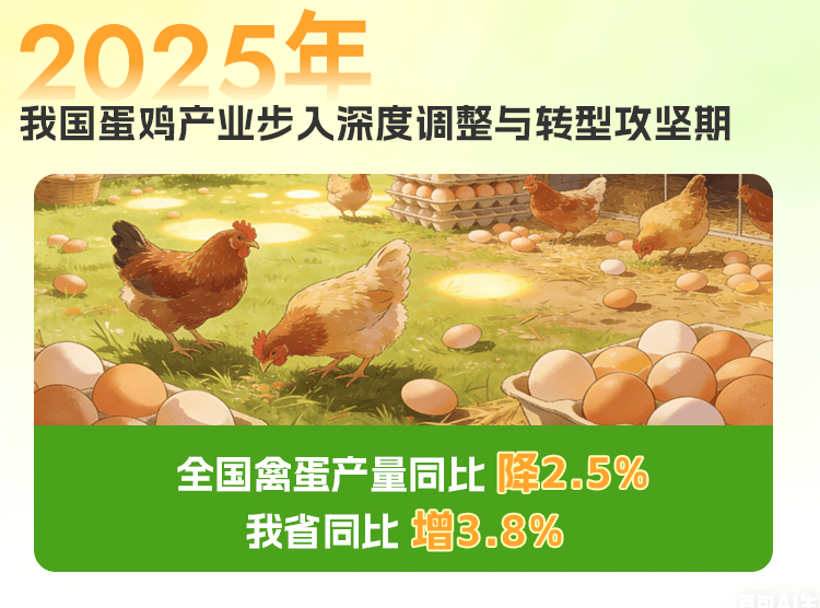 杰创智能成交额创2025年9月12日以来新高