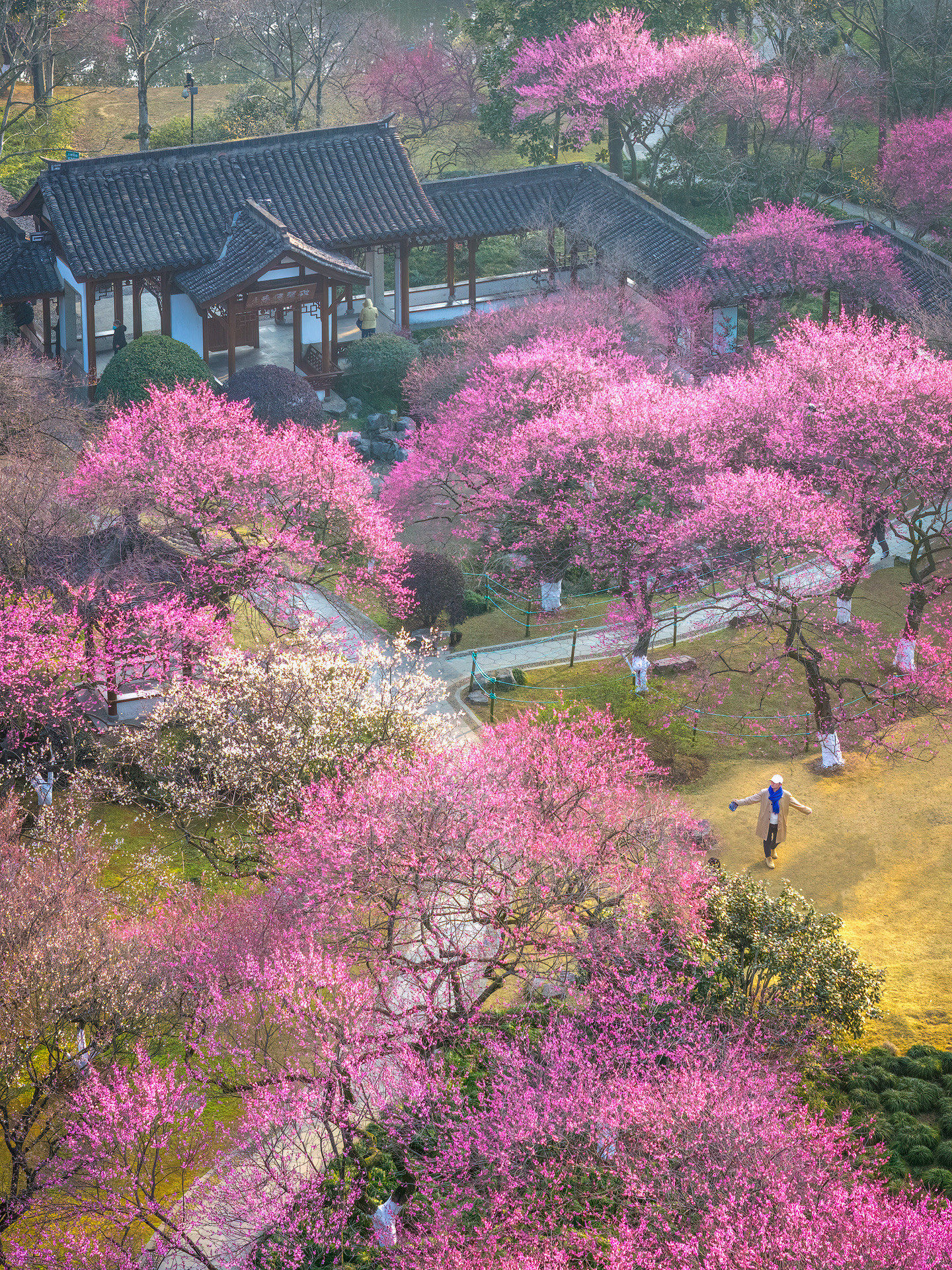 “花神”降临杭州植物园，“春日唤醒”游园会解锁防非反诈新姿势