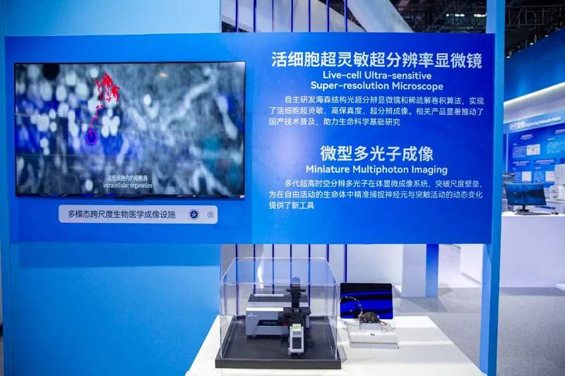 探馆中关村常设展：发丝支架疏导“脑内炸弹”，柔性电极破解脑机接口“掉线”难题