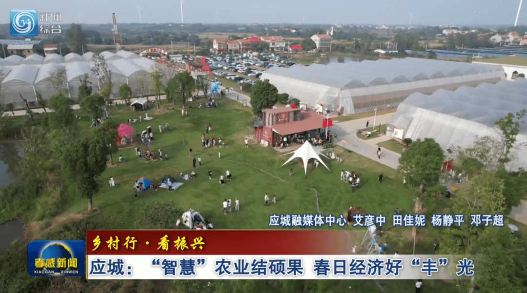 *ST步森：实际控制人拟变更为王波，澄清延丰数字与奥飞数据不存在业务联系
