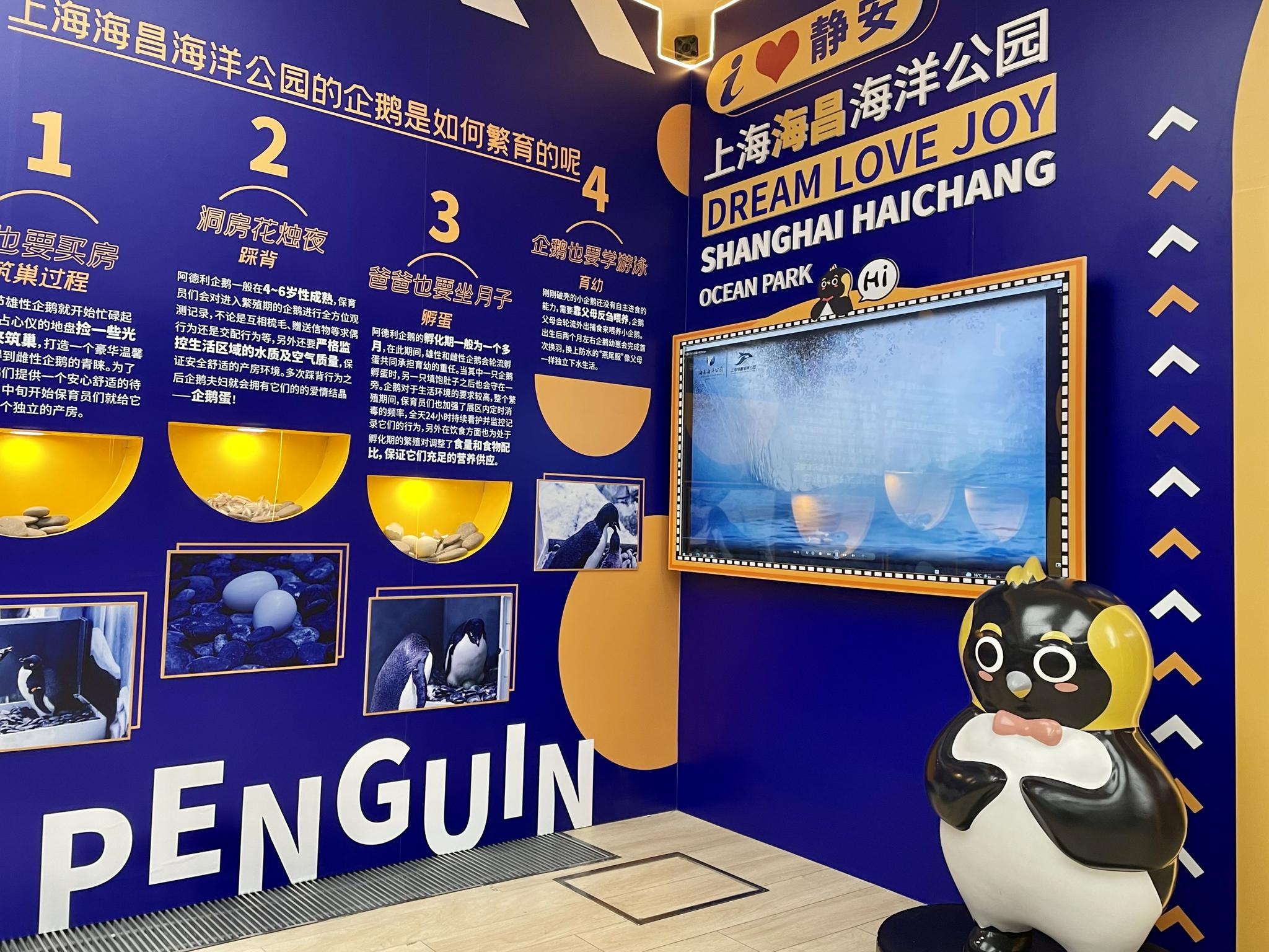 通达股份：公司电线电缆板块暂无产品应用于海洋