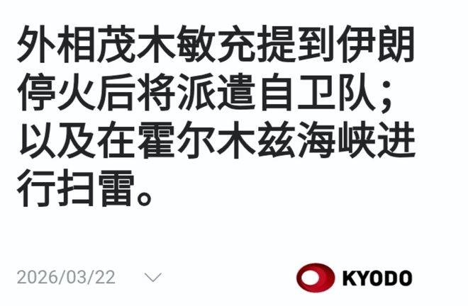 霍尔木兹42天生死劫：部分商家中东地区订单量同比下降超50%，中资企业出海预期分化