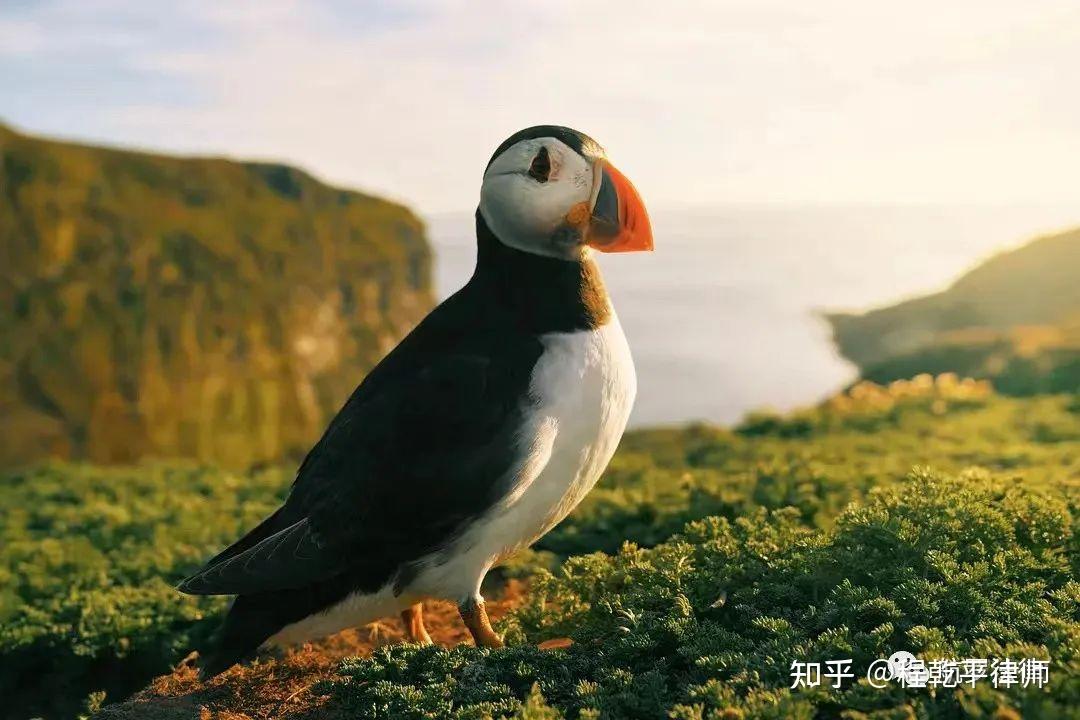 立方风控鸟·晚报（4月16日）