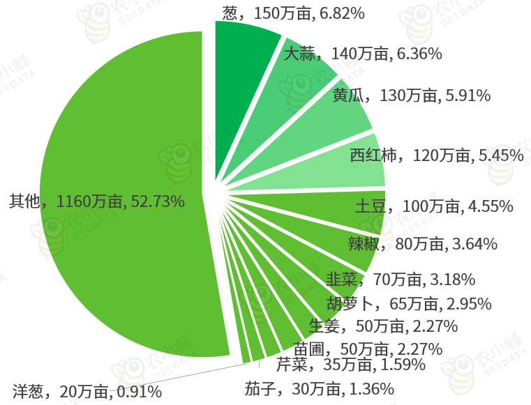 上海新阳涨6.82%，股价创历史新高