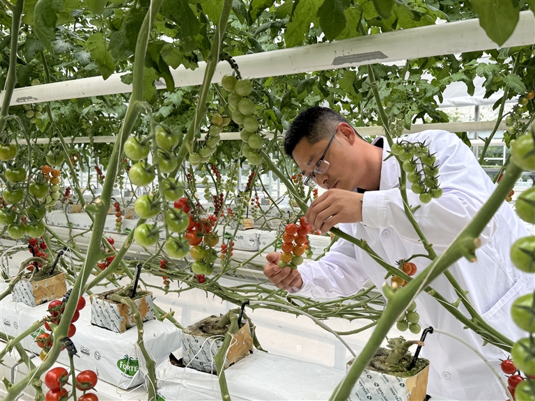 慧为智能净利润同比大增超300%，产能建设与资质认证双突破