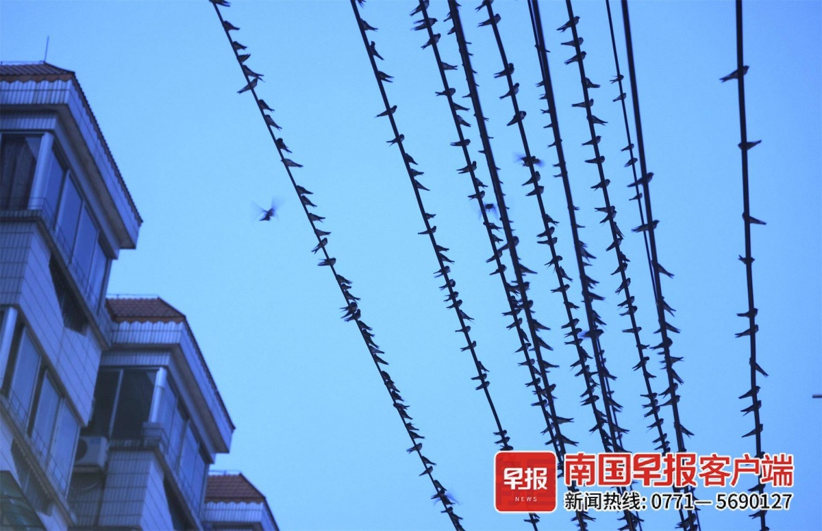 立方风控鸟·早报（4月25日）